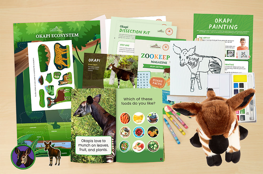 edZOOcation™ Zookeeper Box (Age 3-5) - Monthly Box