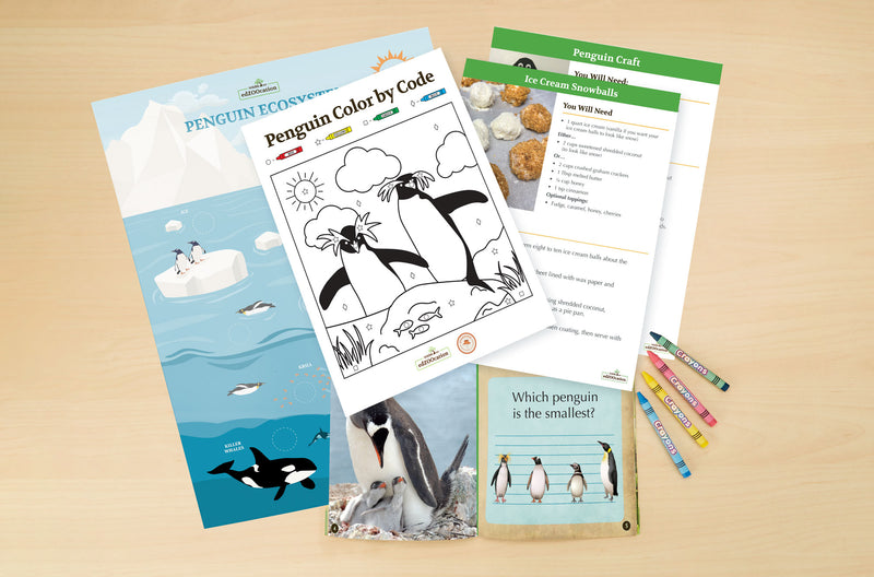 Penguin Stuffed Animal edZOOcation™ Zookeeper Box (Ages 3-5)