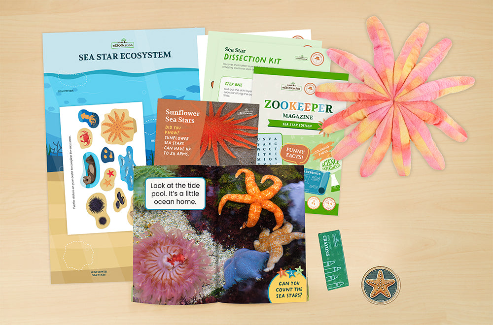 Sea Star Zookeeper Box (Ages 3-5)