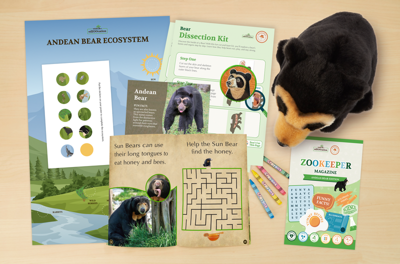 Bear Stuffed Animal edZOOcation™ Zookeeper Box (Ages 3-5)