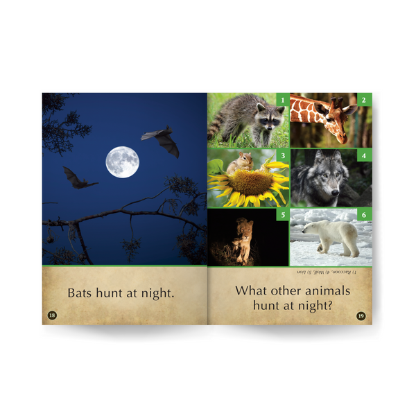 Bats & Other Animals Wildlife Tree edZOOcation™ Readers Book (Pre-Reader) - Paperback