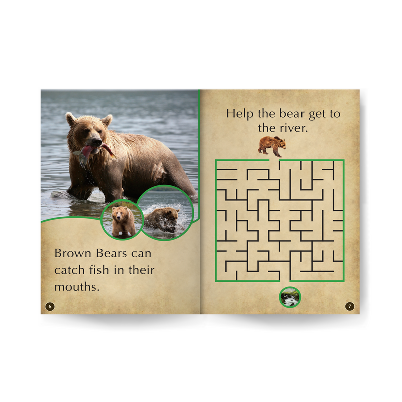 A-MAZE-ING Bears Wildlife Tree edZOOcation™ Readers Book (Pre-Reader) - Paperback
