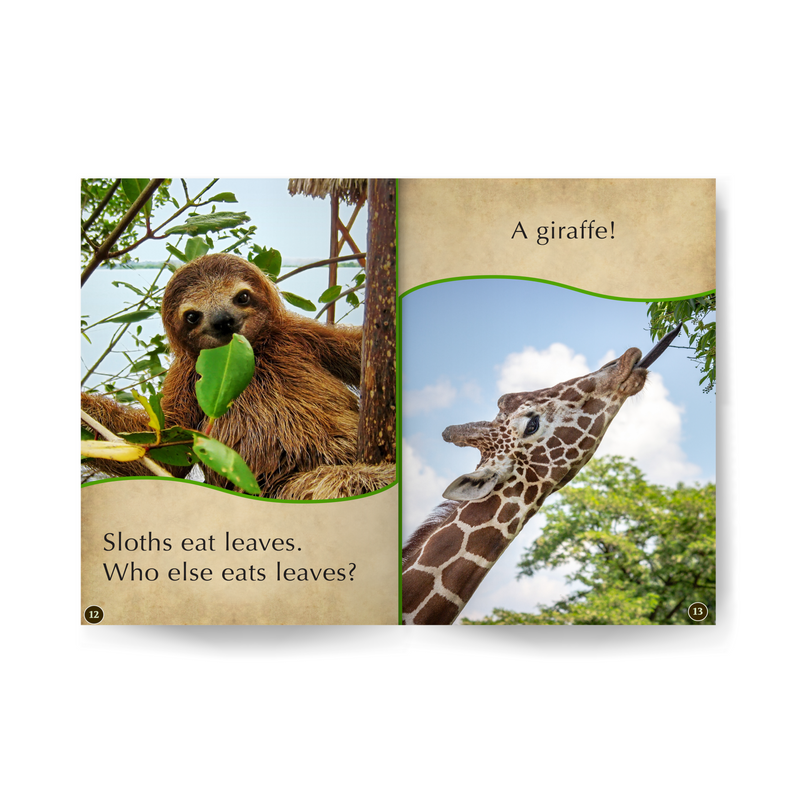 All About Sloths edZOOcation Readers Zookeeper Book - eBook Digital Download