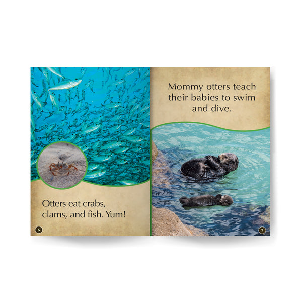 Otter Play edZOOcation Zookeeper Book - Paperback