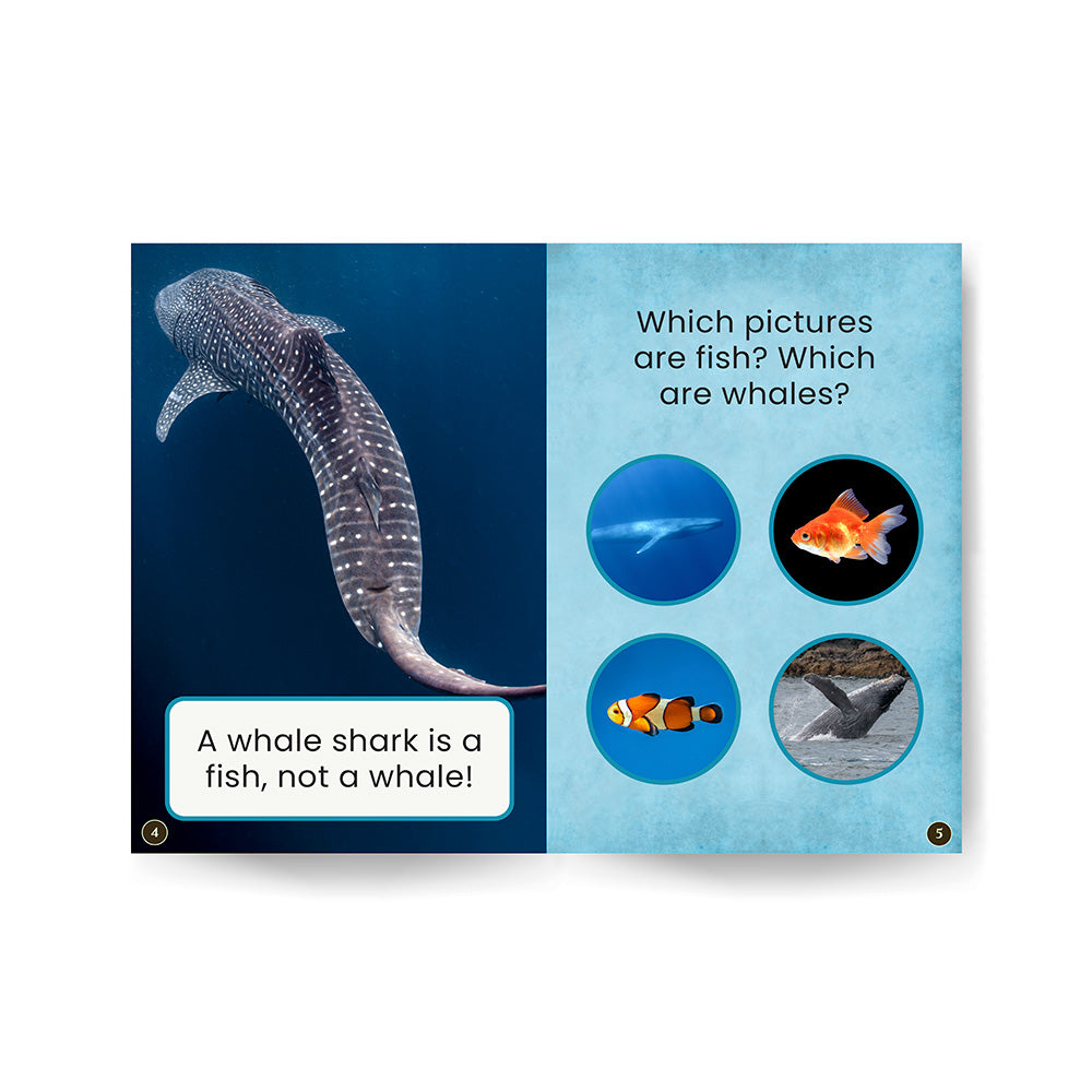 Whale Sharks edZOOcation Zoologist Book - Paperback