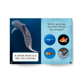 Whale Sharks edZOOcation Zoologist Book - Paperback