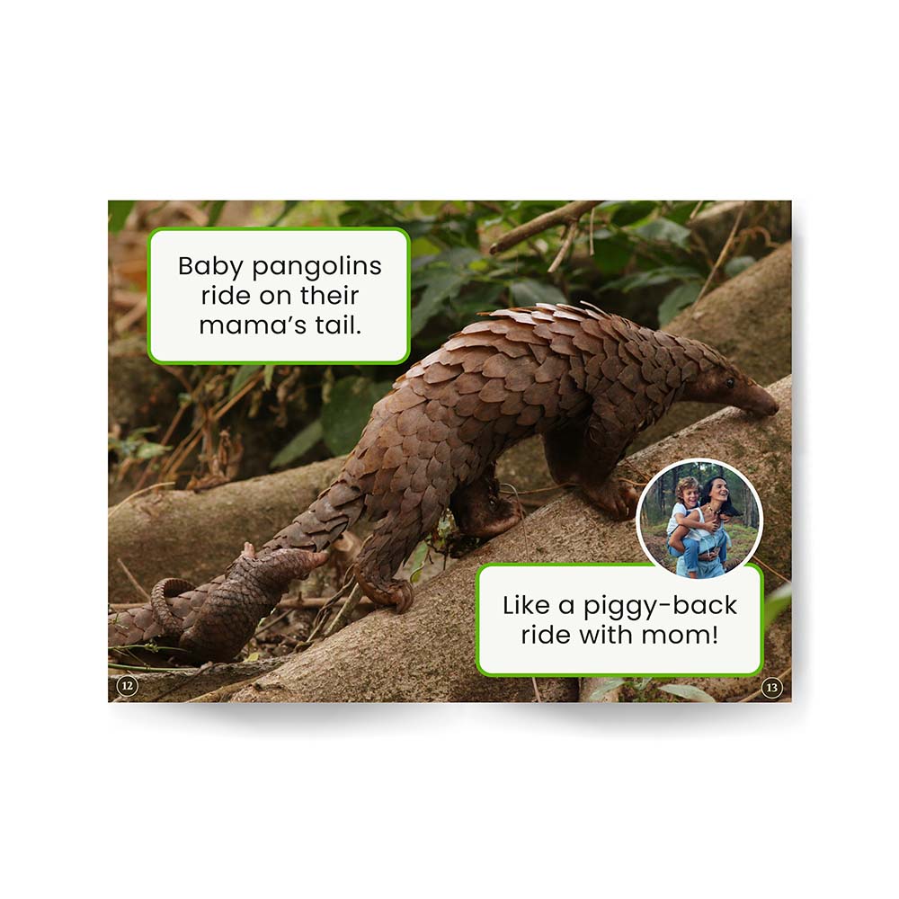 Pangolins edZOOcation Zookeeper Book - Paperback