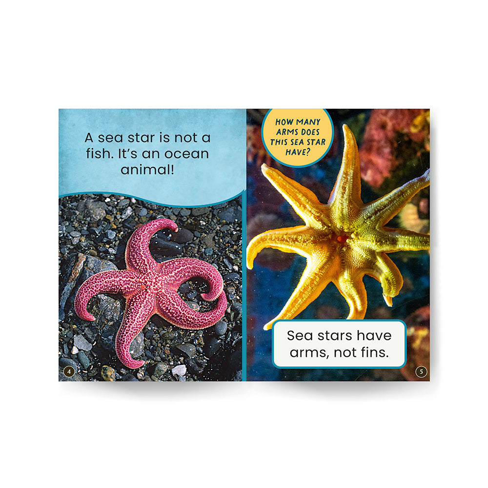 Sea Stars in Many Colors edZOOcation Zookeeper Book - Paperback