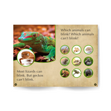 Cool Lizards Wildlife Tree edZOOcation™ Readers Book (Pre-Reader) - Paperback