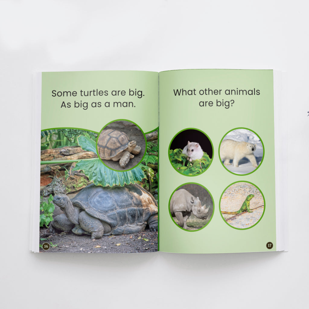 All About Turtles edZOOcation Zookeeper Book - Paperback