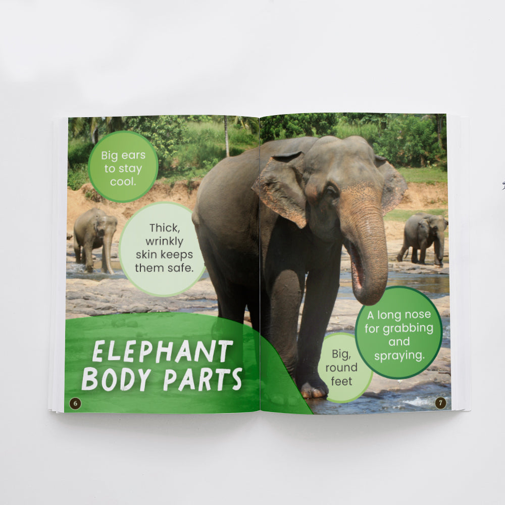 Elephants edZOOcation Zookeeper Book - Paperback