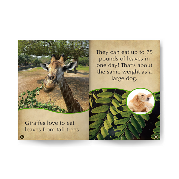 Giraffes edZOOcation Zookeeper Book - Paperback