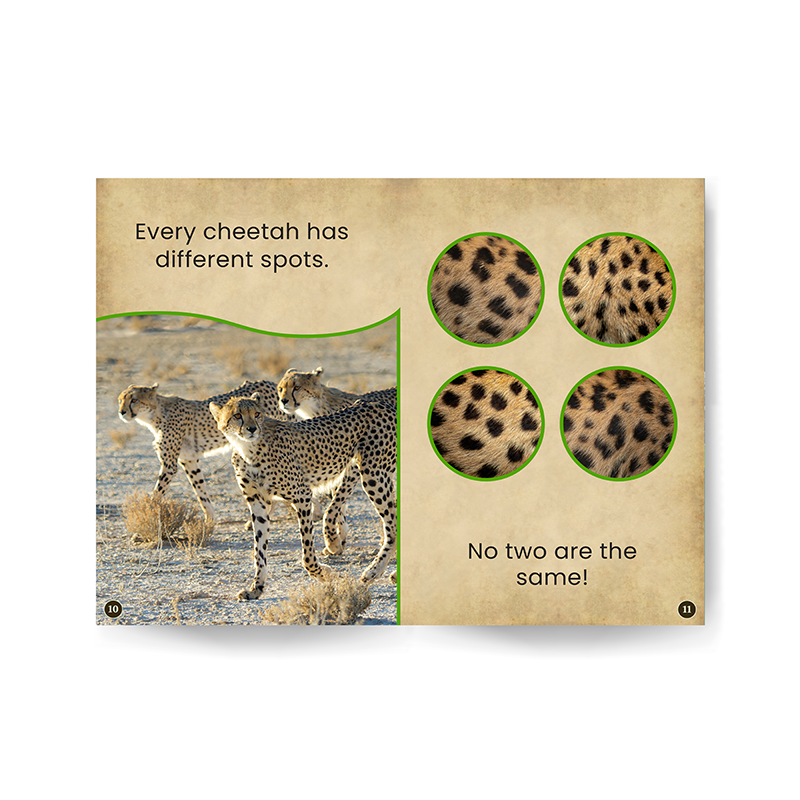 Cheetahs edZOOcation Zoologist Book - Paperback