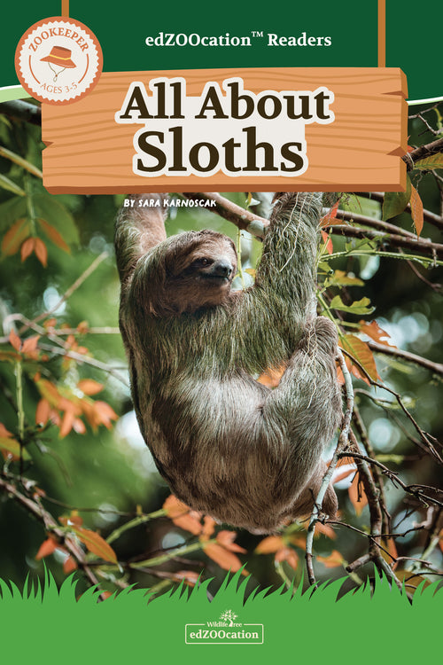 Book cover of 'All About Sloths' with a sloth on a branch and green background