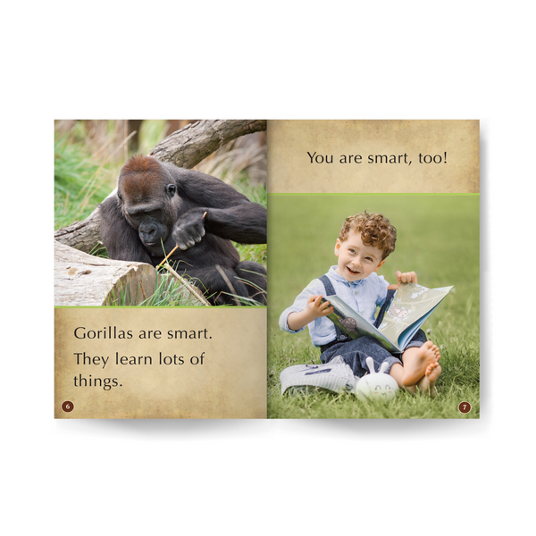 Gorillas and You Wildlife Tree edZOOcation™ Readers Book (Pre-Reader) - Paperback
