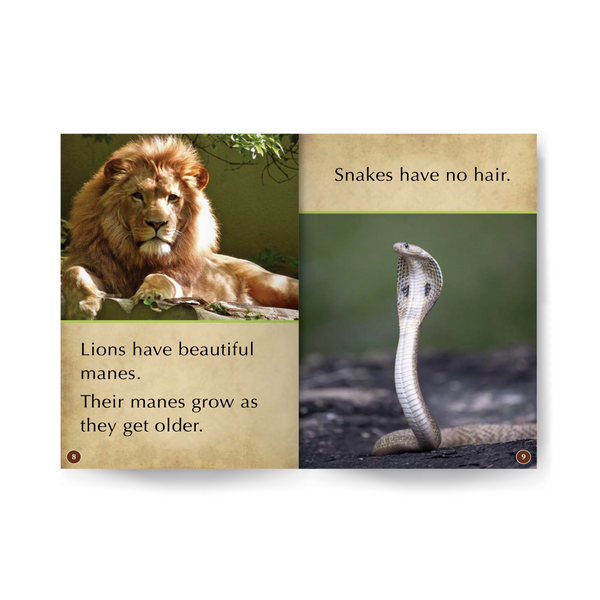 Lions and Their Opposites Wildlife Tree edZOOcation™ Readers Book (Pre-Reader) - Paperback