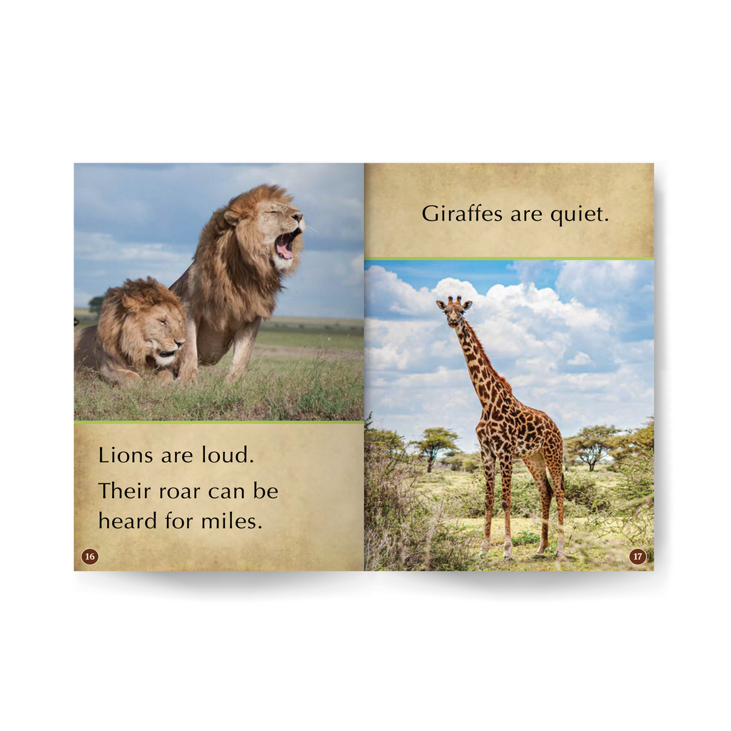 Lions and Their Opposites Wildlife Tree edZOOcation™ Readers Book (Pre-Reader) - Paperback