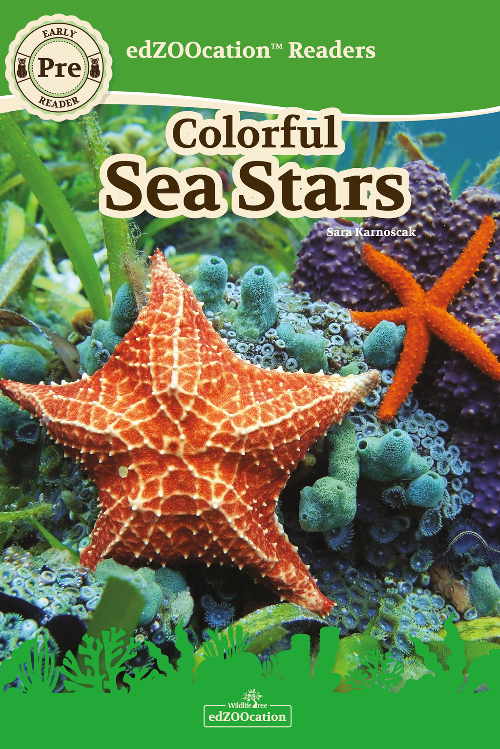 A book cover for 'Colorful Sea Stars Wildlife Tree edZOOcation Readers' featuring illustrations of sea stars and other ocean creatures on a vibrant underwater scene background.