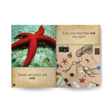 Colorful Sea Stars Wildlife Tree edZOOcation™ Readers Book (Pre-Reader) - Paperback