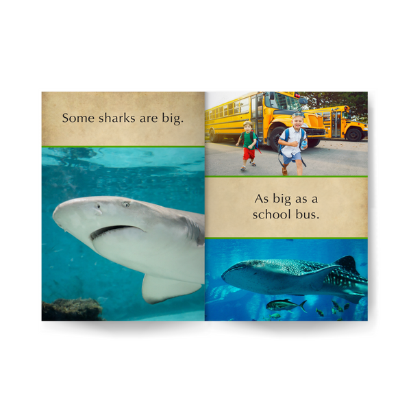 So Many Sharks Wildlife Tree edZOOcation™ Readers Book (Pre-Reader) - Paperback