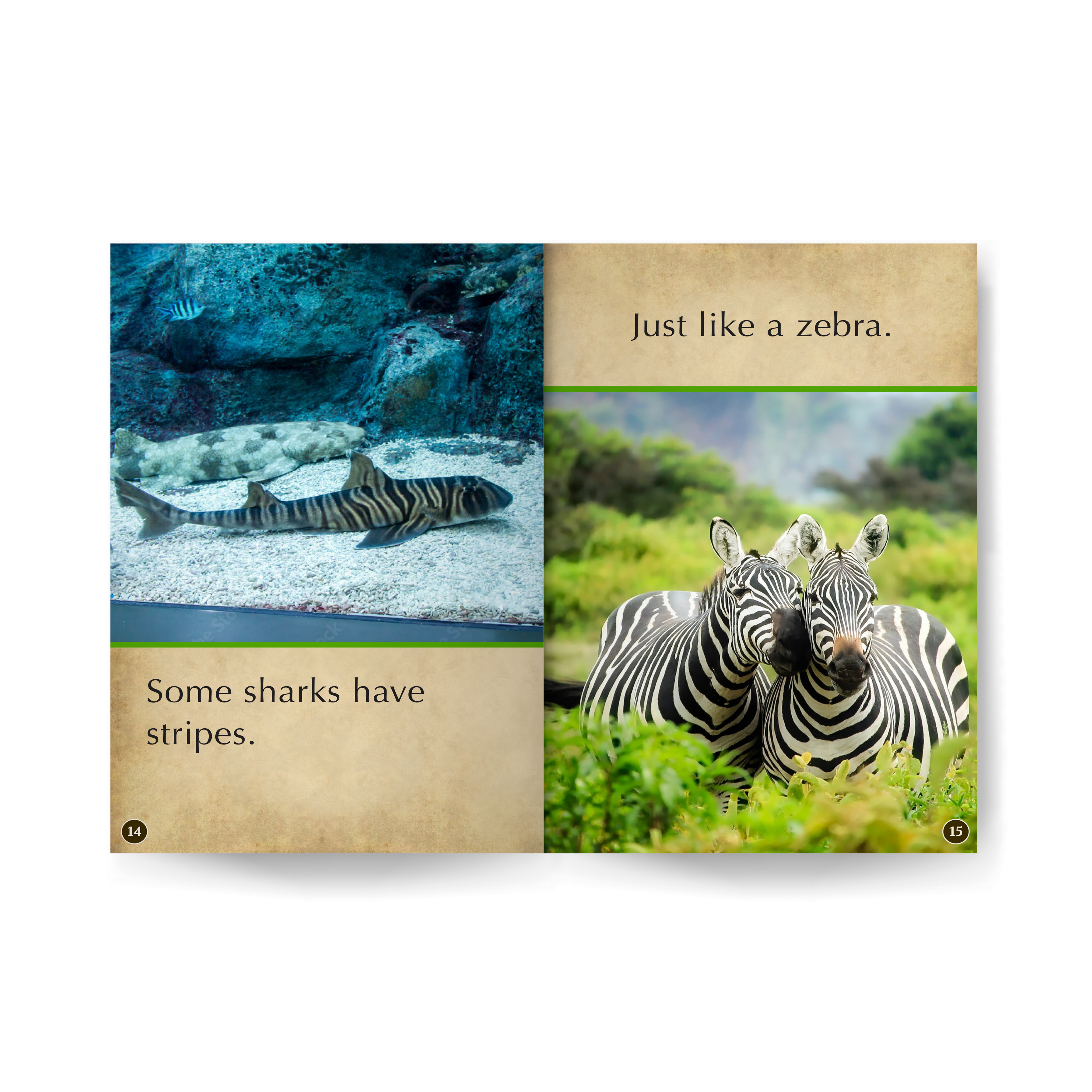 So Many Sharks Wildlife Tree edZOOcation™ Readers Book (Pre-Reader) - Paperback