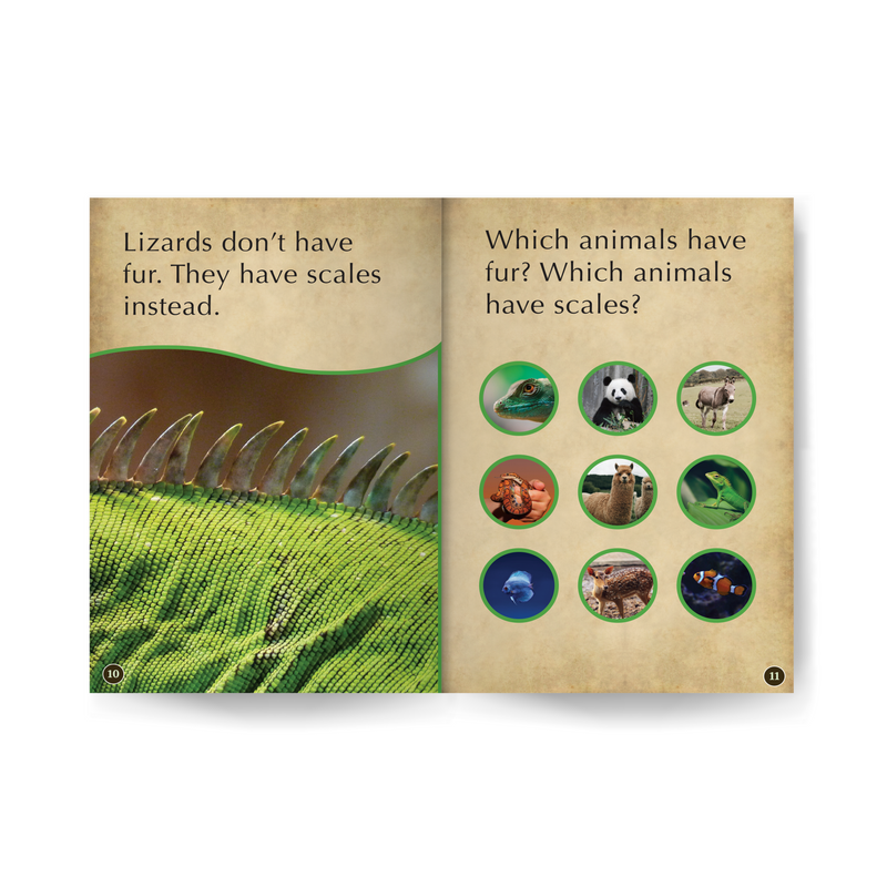 Cool Lizards Wildlife Tree edZOOcation™ Readers Book (Pre-Reader) - Paperback