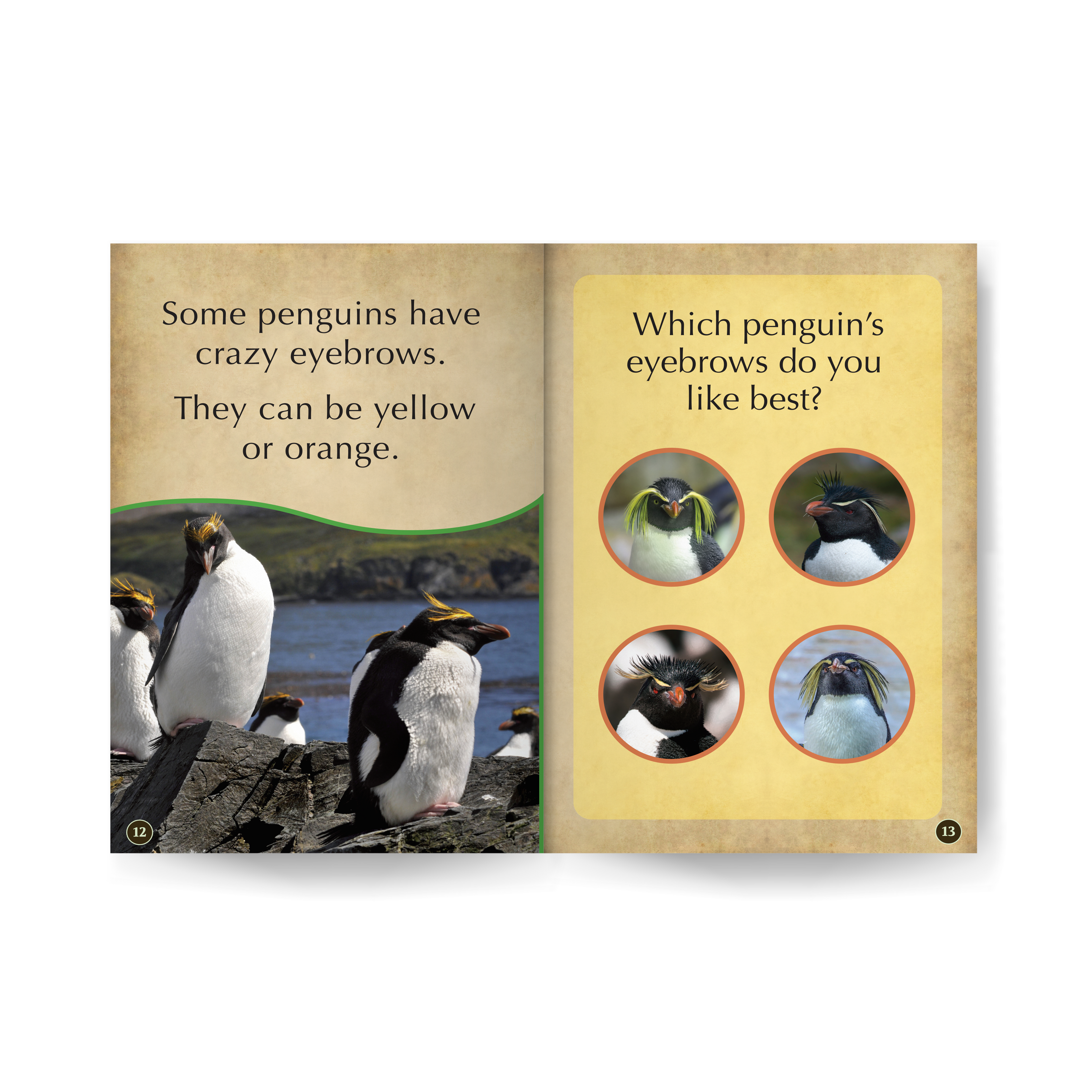 Big Penguin, Little Penguin Wildlife Tree edZOOcation™ Readers Book (Pre-Reader) - Paperback