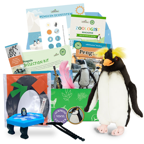 edZOOcation™ Zoologist Box (Age 6-8) - 3 Months