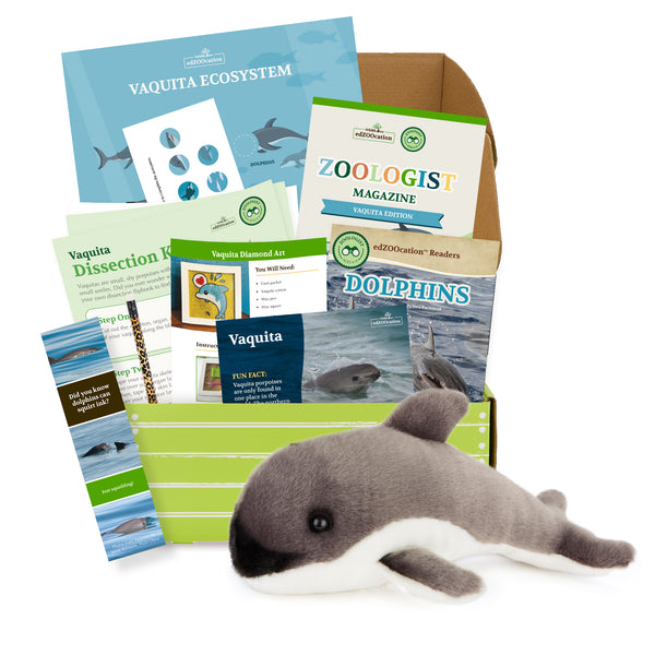 Vaquita Porpoise Stuffed Animal edZOOcation™ Zoologist Box (Ages 6-8)