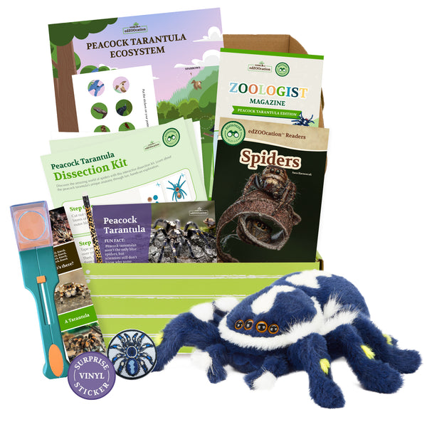 edZOOcation™ Zoologist Box (Age 6-8) - 3 Months