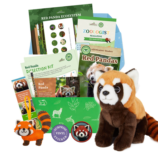 Red Panda Stuffed Animal edZOOcation™ Zoologist Box (Ages 6-8)
