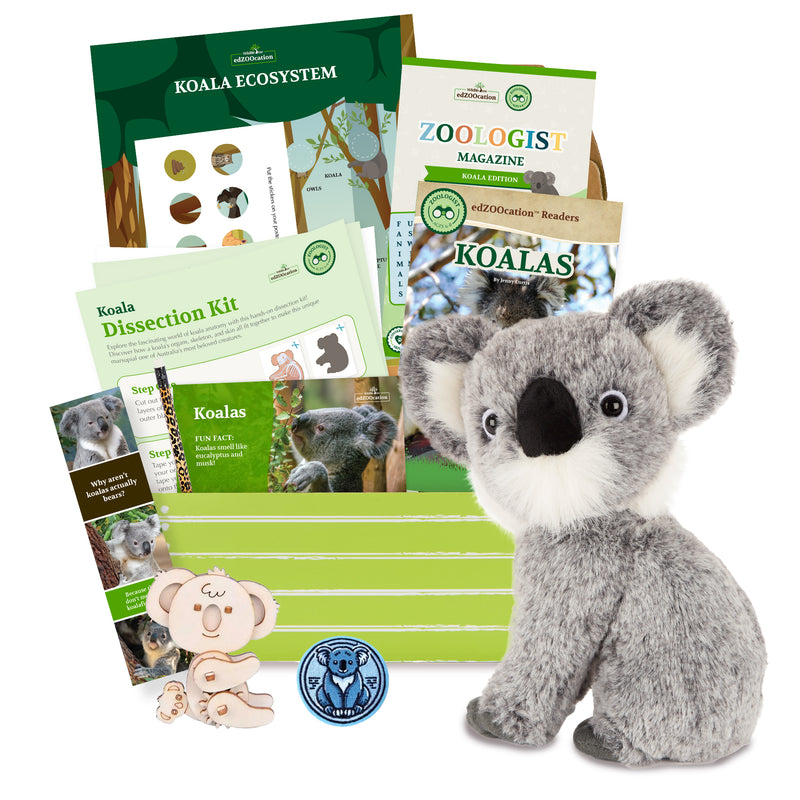 Koala Stuffed Animal edZOOcation™ Zoologist Box (Ages 6-8)