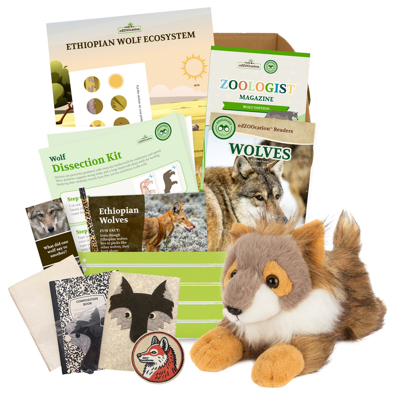 Wolf Stuffed Animal edZOOcation Zoologist Box (Ages 6-8)