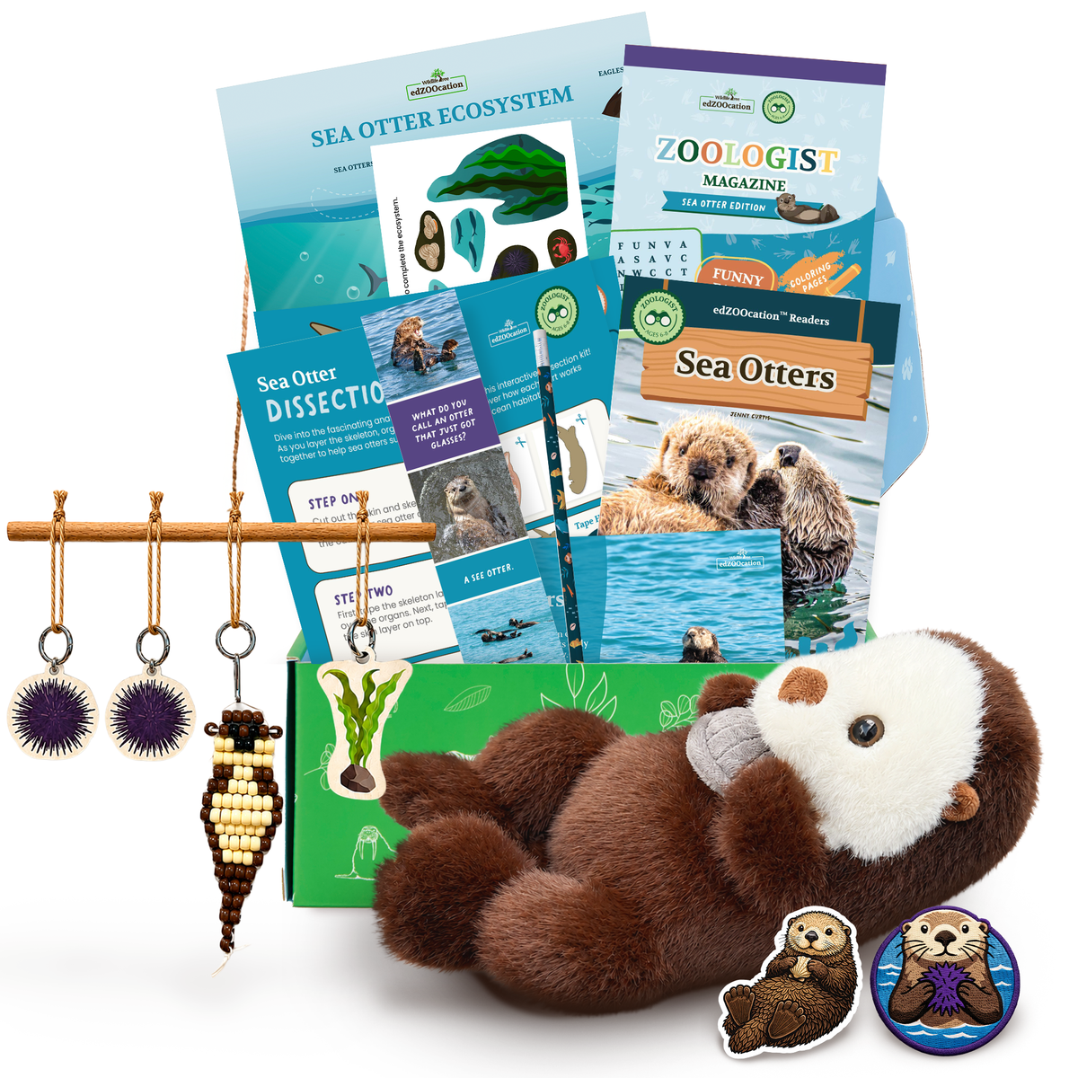 Sea Otter Zoologist Box (Ages 6-8) – edZOOcation