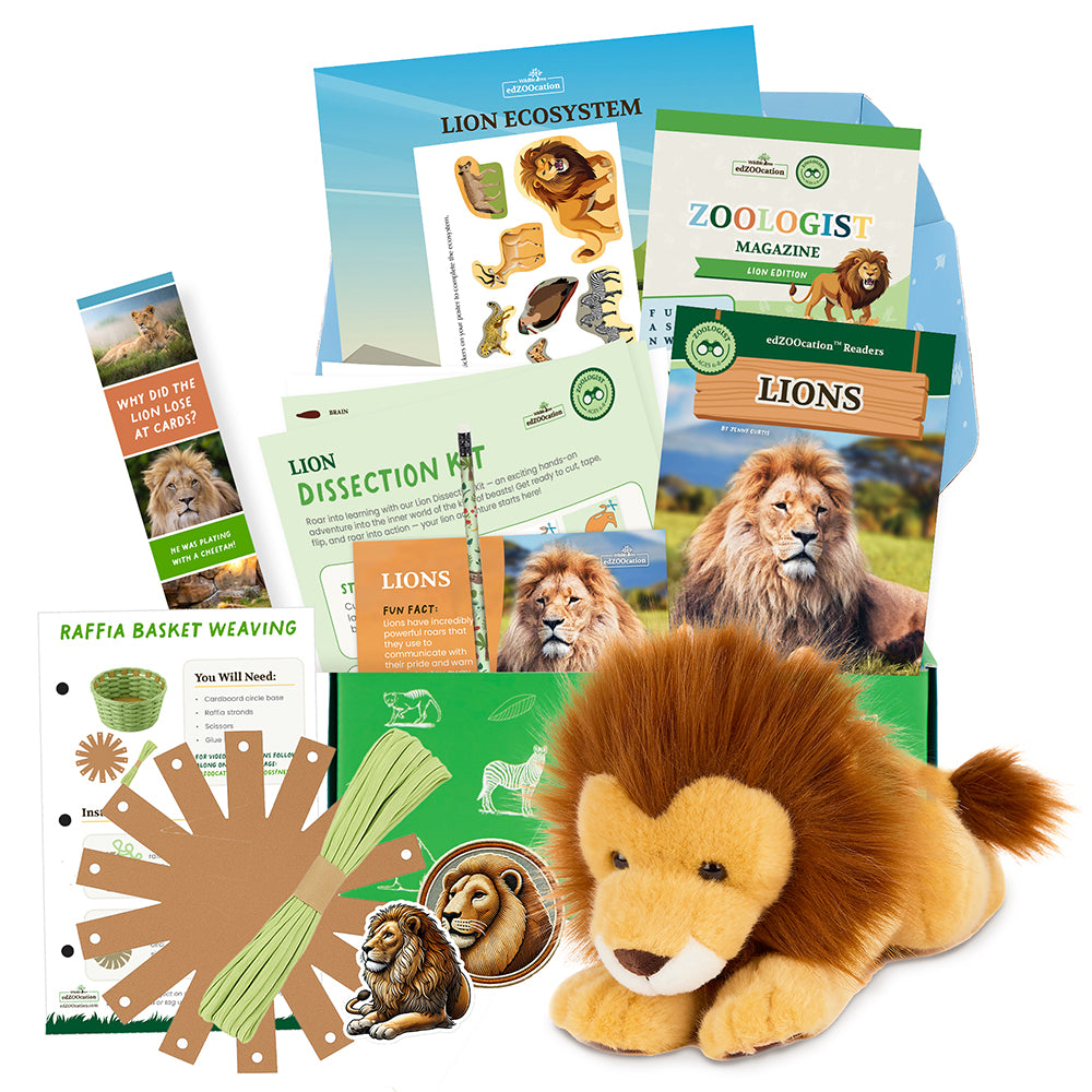 Lion Zoologist Box (Ages 6-8)