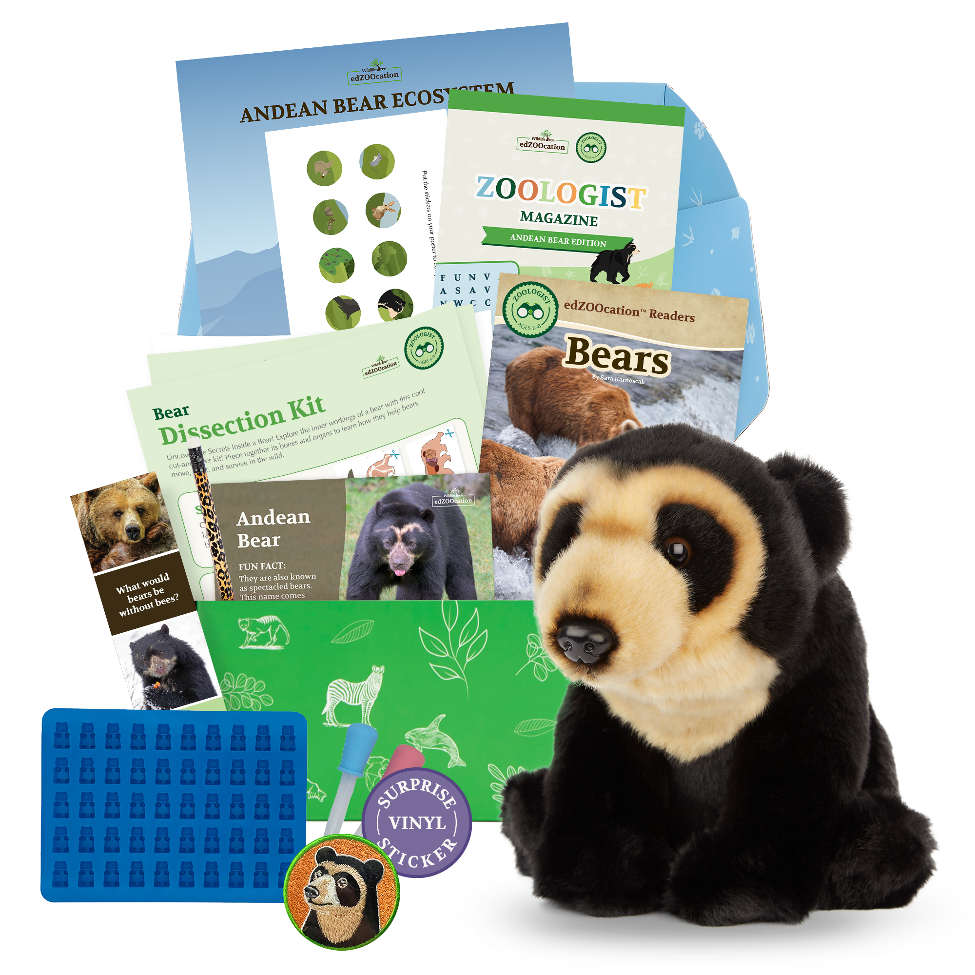 Bear Zoologist Box (Ages 6-8)