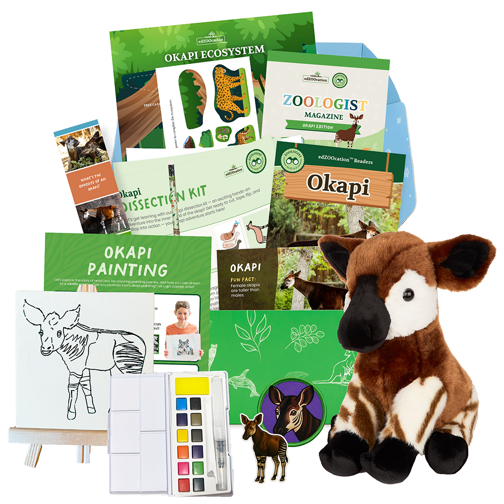 edZOOcation™ Zoologist Box (Age 6-8) - 6 Months