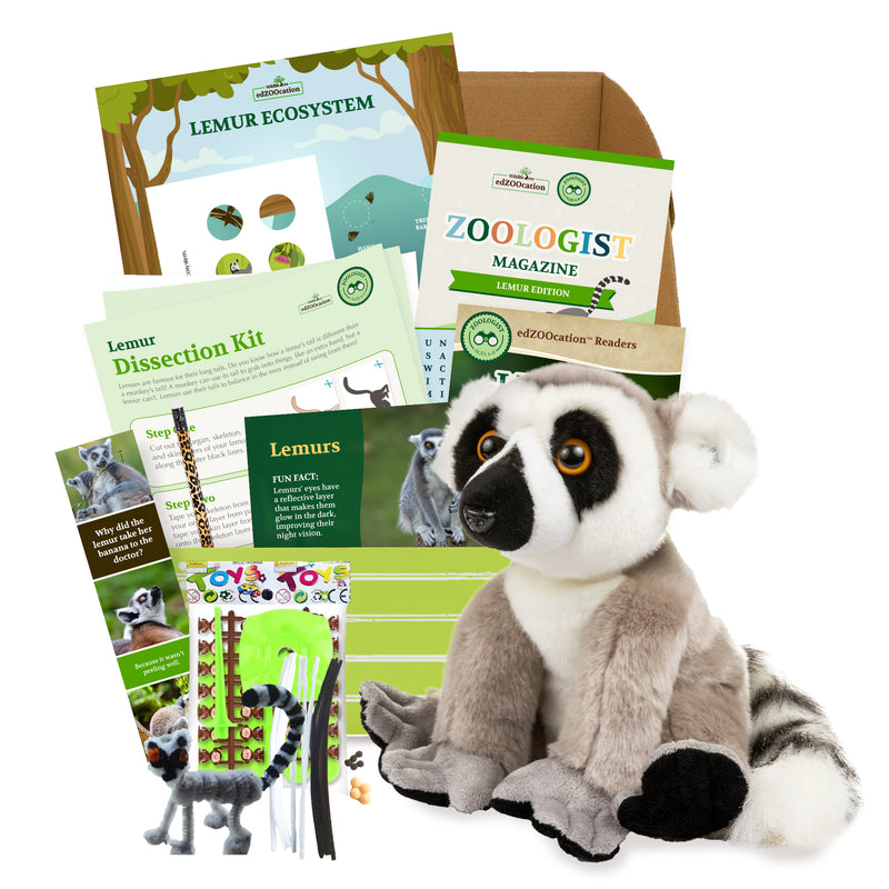 Lemur Stuffed Animal edZOOcation Zoologist Box (Ages 6-8)