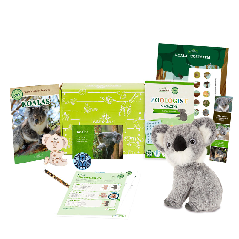 Koala Stuffed Animal edZOOcation™ Zoologist Box (Ages 6-8)