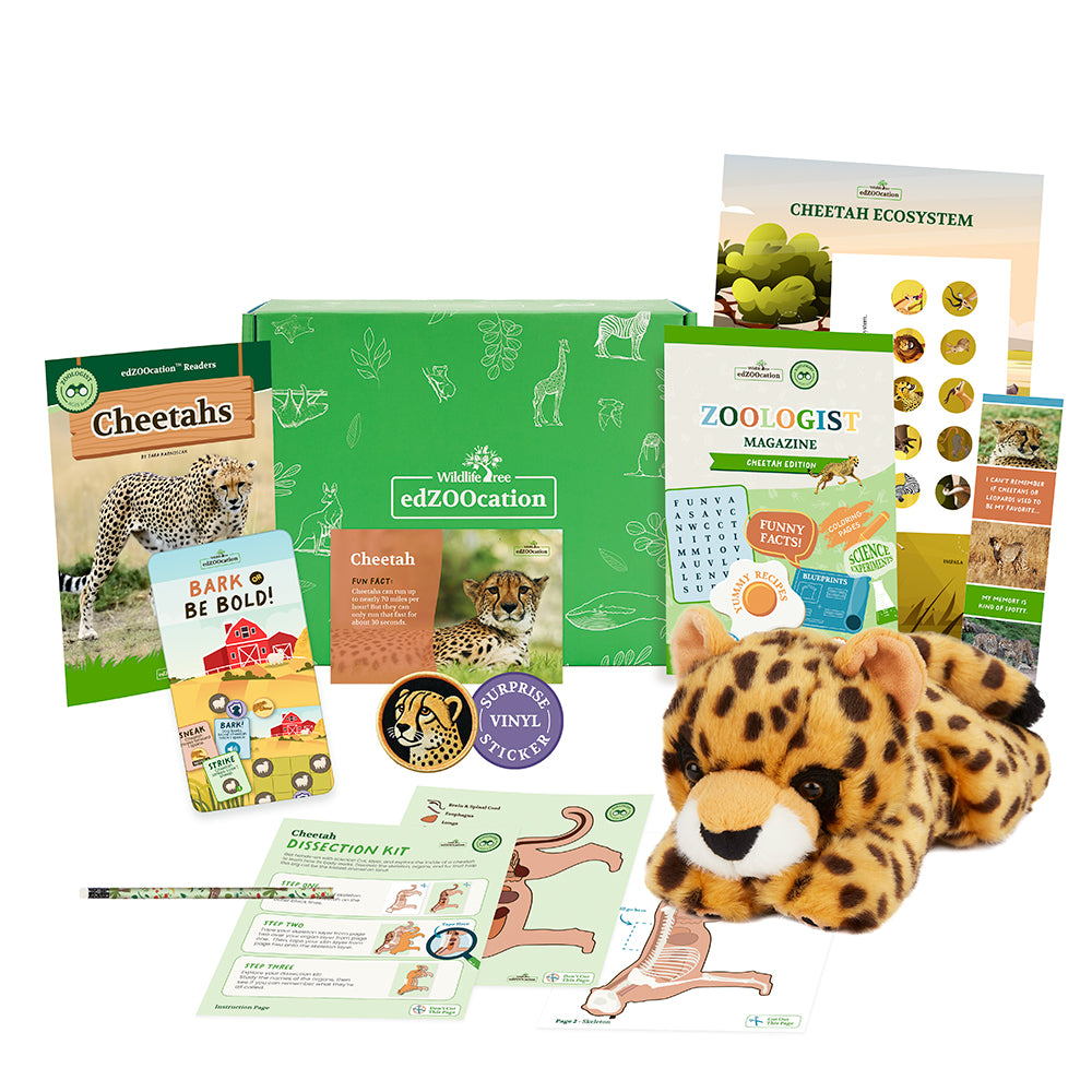 Cheetah Zoologist Box (Ages 6-8)