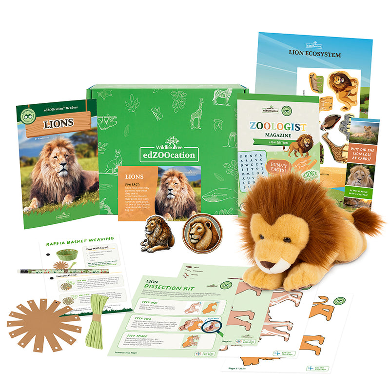 Lion Stuffed Animal edZOOcation™ Zoologist Box (Ages 6-8)