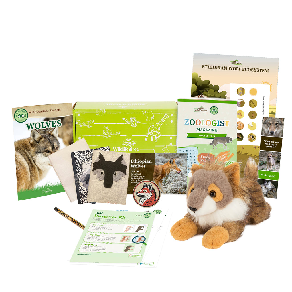 Wolf Zoologist Box (Ages 6-8)