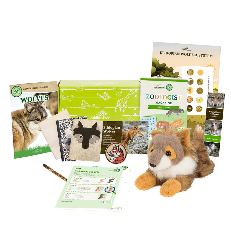 Wolf Stuffed Animal edZOOcation Zoologist Box (Ages 6-8)