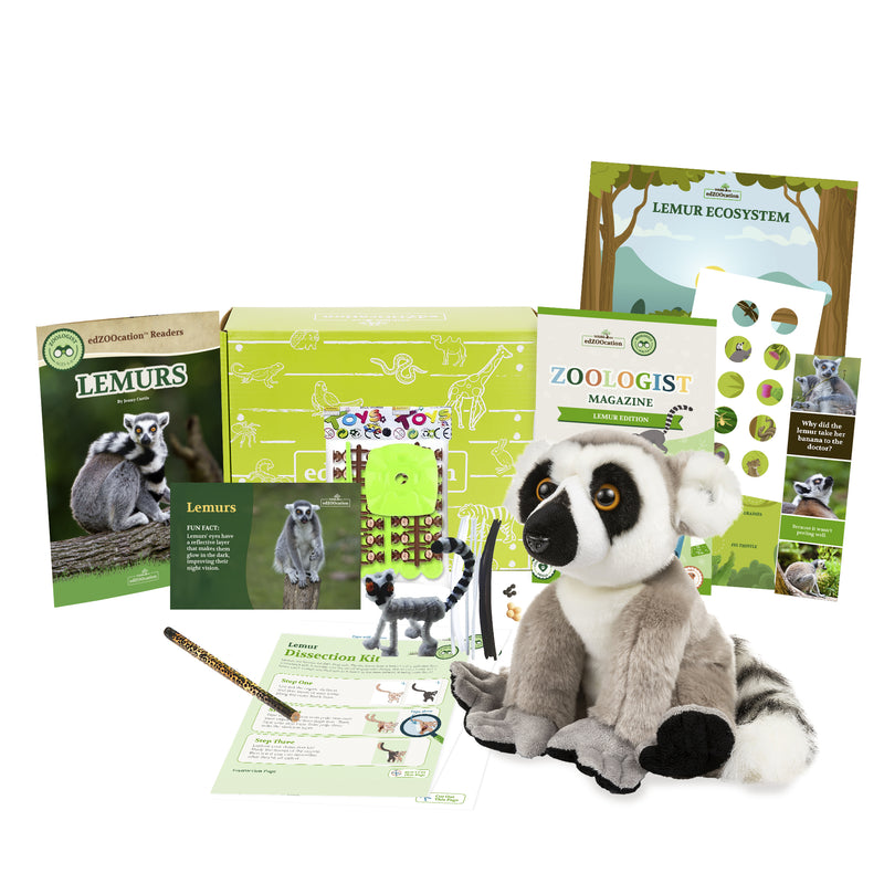 Lemur Stuffed Animal edZOOcation Zoologist Box (Ages 6-8)