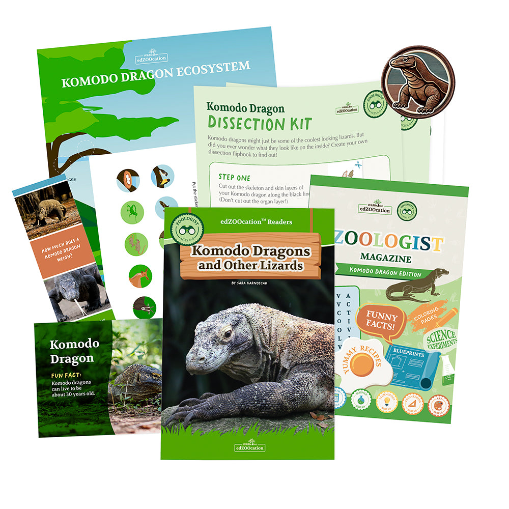 Komodo Dragon Zoologist Box (Ages 6-8)