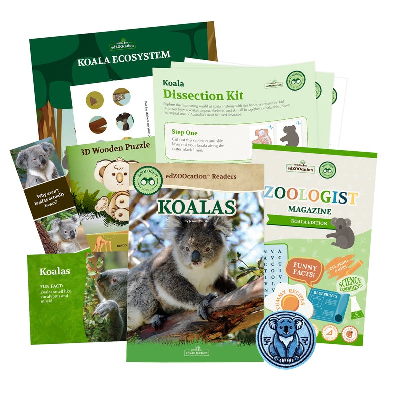 Koala Stuffed Animal edZOOcation™ Zoologist Box (Ages 6-8)