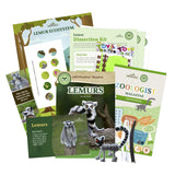 Lemur Stuffed Animal edZOOcation Zoologist Box (Ages 6-8)