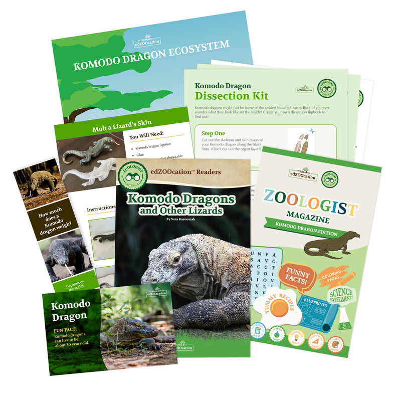 Komodo Dragon Stuffed Animal edZOOcation™ Zoologist Box (Ages 6-8)