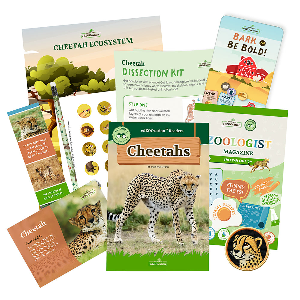 Cheetah Zoologist Box (Ages 6-8)