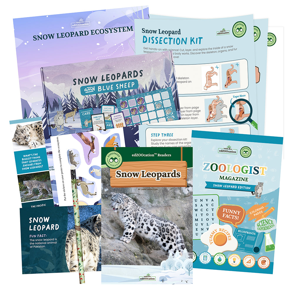 edZOOcation™ Zoologist Box (Age 6-8) - Monthly Box